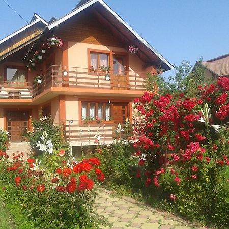 Nopti De Vara Transfagarasan Căpăţîneni-Pămînteni エクステリア 写真